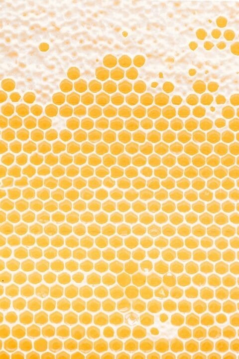 Honeycomb is no doubt a marvel. Its perfection is in the details and the details are impeccable indeed.