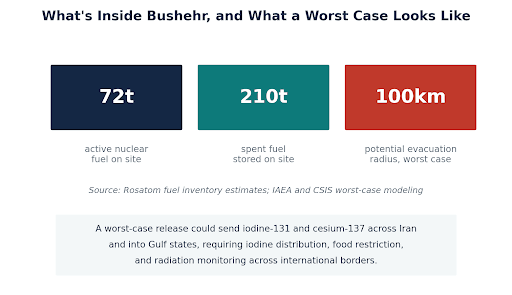 Infographic showing Bushehr's nuclear fuel inventory and worst-case evacuation radius estimates